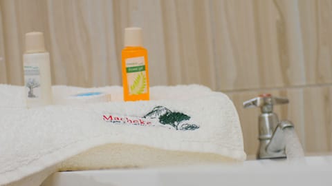 Premium Room | Bathroom | Combined shower/tub, free toiletries, towels, soap