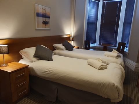 Standard Twin Room | Desk, iron/ironing board, free WiFi, bed sheets