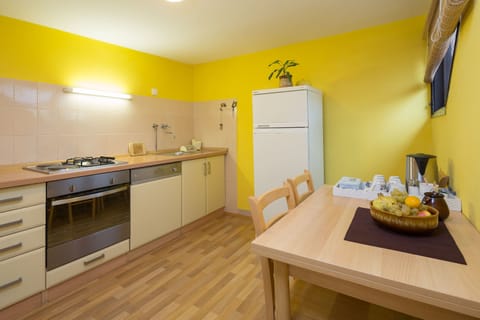 City Apartment, 3 Bedrooms, Kitchen | Shared kitchen | Full-size fridge, oven, stovetop, dishwasher