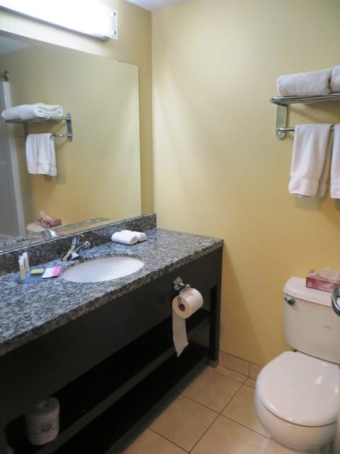 Combined shower/tub, free toiletries, hair dryer, towels