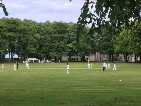 Cricket in the grounds