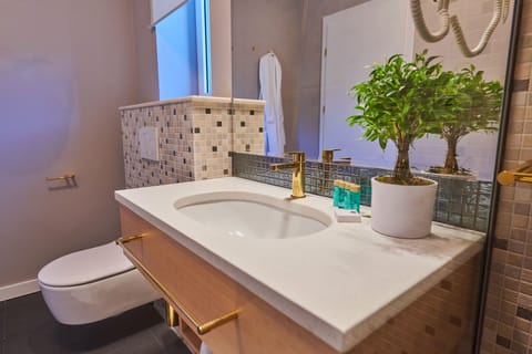 Deluxe Room | Bathroom | Shower, free toiletries, hair dryer, bathrobes