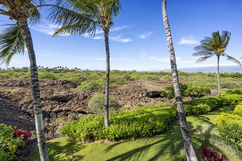 View from Primary bedroom lanai