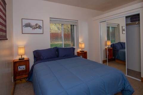 Bedroom #1, TV, Closet (Downstairs).