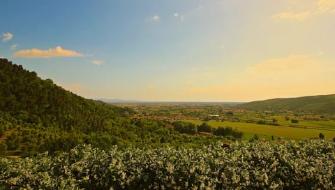 Views from front of house over countryside, Pisa, Leaning Tower & Med !