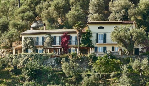 Front of house in olive grove setting with views of The Leaning Tower of Pisa !