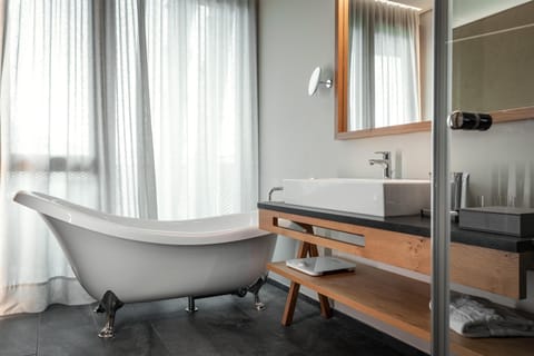 Separate tub and shower, free toiletries, hair dryer, bathrobes