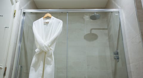 Combined shower/tub, free toiletries, hair dryer, towels