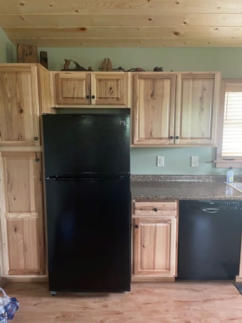 Fridge, cabinets, and dishwasher