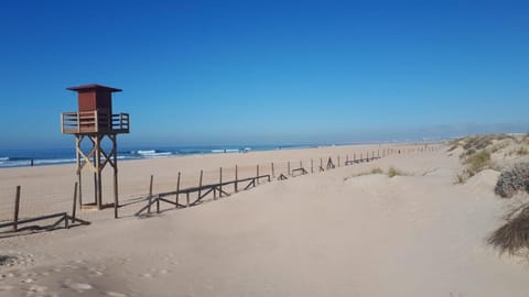 Beach nearby, white sand