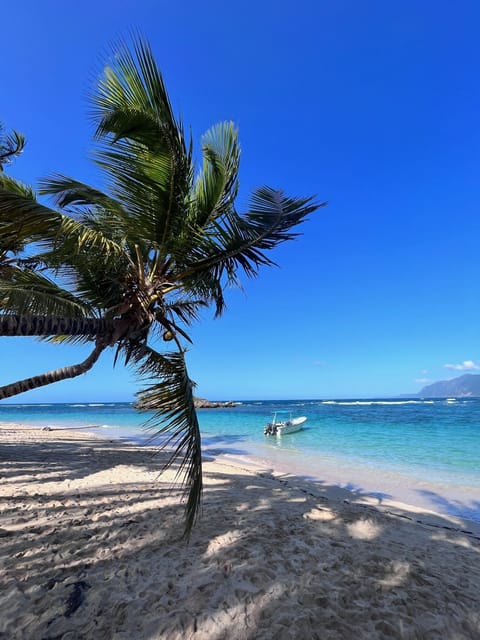 Beach nearby, white sand