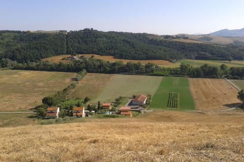 Plant, Sky, Natural Landscape, Tree, Land Lot, Highland, Grass, Agriculture, Grassland, Slope