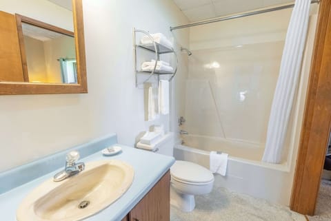 Combined shower/tub, free toiletries, hair dryer, towels