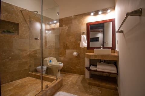 Deluxe Studio | Bathroom | Shower, rainfall showerhead, free toiletries, towels