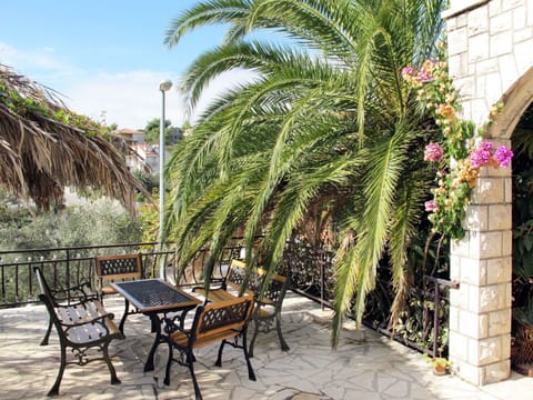 Property, Tree, Patio, Palm Tree, Botany, Plant, Real Estate, Arecales, Garden, Building