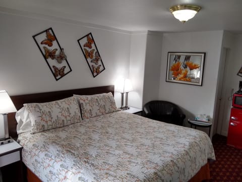 Room, 1 King Bed, Non Smoking | Premium bedding, individually decorated, individually furnished, desk
