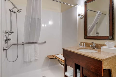 Combined shower/tub, free toiletries, hair dryer, towels