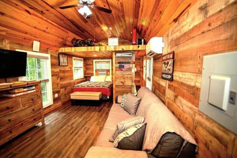 Economy Cabin | Living area | TV, fireplace