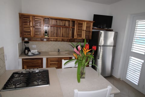 Apartment, 1 King Bed, Partial Sea View | Private kitchen | Full-size fridge, stovetop, coffee/tea maker, toaster