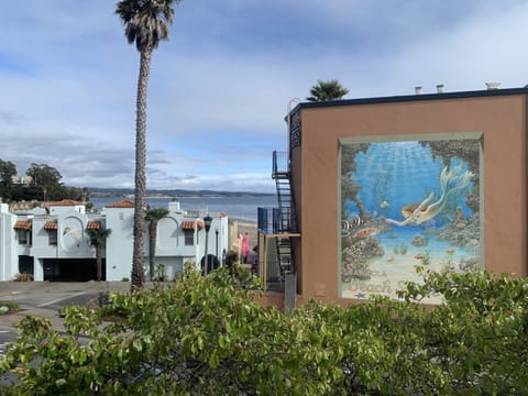 View from living room!