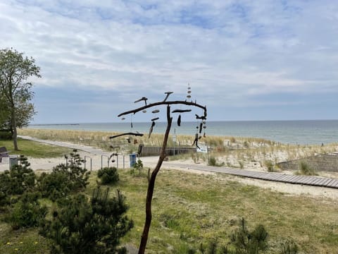 Cloud, Sky, Plant, Natural Landscape, Tree, Water, Land Lot, Wood, Plain, Horizon