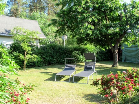 Garden, Yard, Property, Tree, Grass, Lawn, Backyard, Botany, Real Estate, House