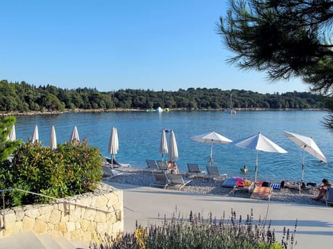Water, Sky, Plant, Water Resources, Watercraft, Boats And Boating--Equipment And Supplies, Boat, Lake, Tree, Coastal And Oceanic Landforms