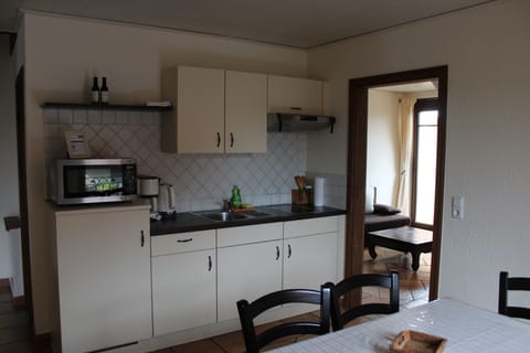 Standard Apartment, 2 Bedrooms, Balcony | Private kitchen | Full-size fridge, microwave, stovetop, coffee/tea maker