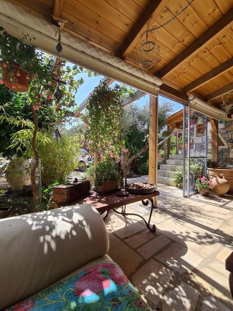 A peaceful view across the olive grove