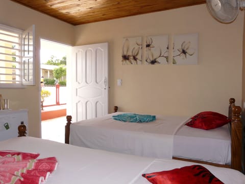 Basic Double Room, 2 Double Beds, Accessible | Minibar, blackout drapes, free WiFi, bed sheets