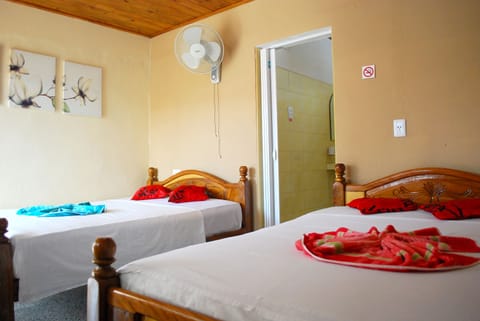 Basic Double Room, 2 Double Beds, Accessible | Minibar, blackout drapes, free WiFi, bed sheets