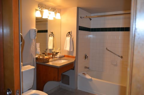 Combined shower/tub, free toiletries, hair dryer, towels