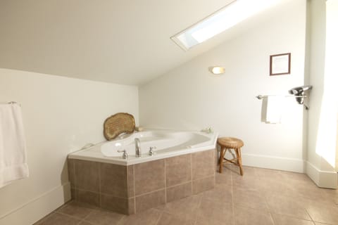 Premium Suite, 1 Bedroom | Bathroom | Combined shower/tub, free toiletries, hair dryer, bathrobes