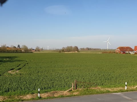 Standard Apartment, 1 Bedroom (Nebenhaus) | View from room