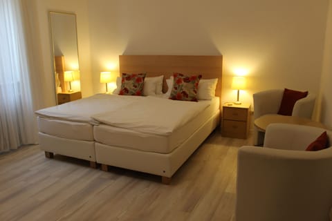 Standard Double Room | Individually furnished, desk, blackout drapes, iron/ironing board