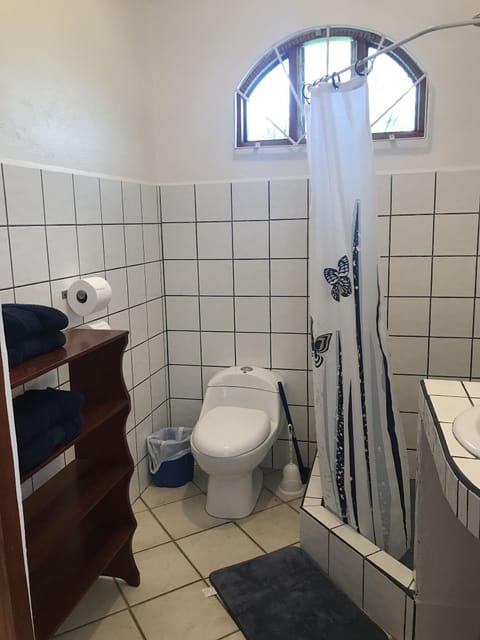 Standard Room, 1 King Bed | Bathroom | Shower, rainfall showerhead, free toiletries, hair dryer
