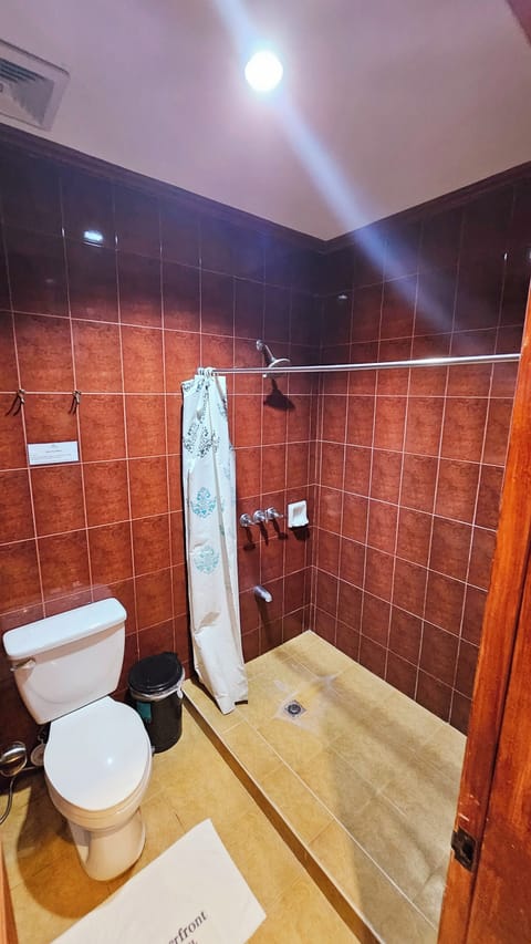 Jacuzzi Suite | Bathroom | Free toiletries, bidet, towels