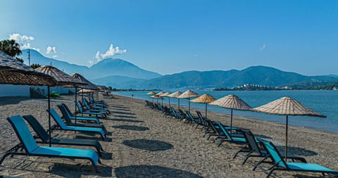 Private beach, sun loungers, beach umbrellas