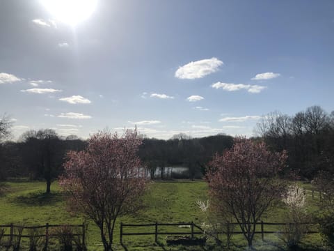 Double Room | Exterior