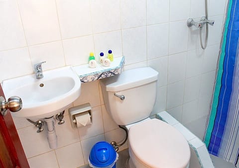 Economy Triple Room | Bathroom | Shower, rainfall showerhead, free toiletries, hair dryer