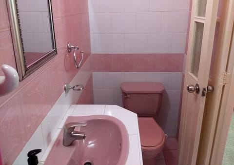 Deluxe Triple Room | Bathroom | Shower, rainfall showerhead, free toiletries, hair dryer