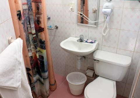 Elite Triple Room | Bathroom | Shower, rainfall showerhead, free toiletries, hair dryer