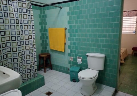 Exclusive Triple Room | Bathroom | Shower, rainfall showerhead, free toiletries, hair dryer