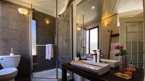 Traditional Suite | Bathroom | Shower, free toiletries, hair dryer, slippers