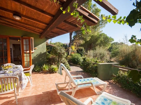 Plant, Property, Nature, Sky, Shade, Chair, Wood, Cottage, Architecture, Interior Design