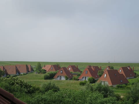 Cloud, Water, Sky, Property, Plant, Swimming Pool, Building, Window, Azure, Blue