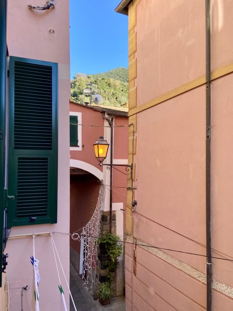 from the windows