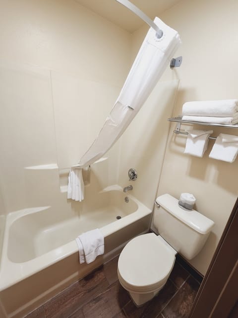 Combined shower/tub, free toiletries, hair dryer, towels