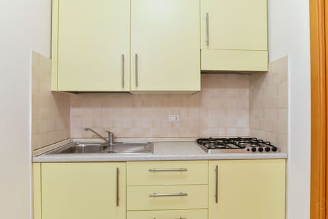 Apartment, 1 Bedroom | Private kitchenette | Full-size fridge, cookware/dishes/utensils, dining tables