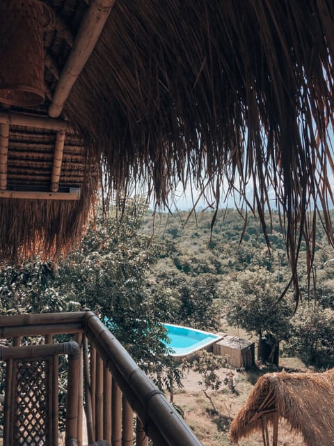 Panoramic Tree House | View from room